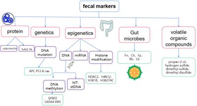 Frontiers Fecal Biomarkers Non Invasive Diagnosis Of Colorectal Cancer